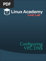 L Ive! Lab: Configuring VPC Dns