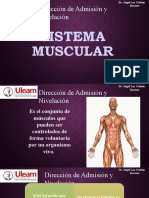 Generalidades Del Sistema Muscular