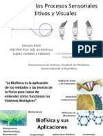 Biofísica de La Visión y AudiciónV2 PDF