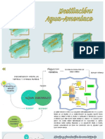 AMONIACOAGUA.pdf