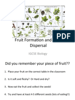 Fruit Formation and Seed Dispersal: IGCSE Biology