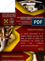 PONENCIA IV - LAS CIENCIAS PENALES Y SU RELACION CON EL CRIMEN ORGANIZADO