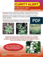Parthenium Biosecurity Alert PDF