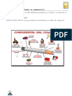 Ficha 1 Tabaco Composicion PDF