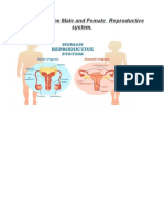 Diseases of the Male and Female Reproductive Systems