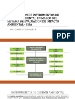 4. Estudios de Impacto Ambiental en marco del SEIA_Ing. Cinthya Lidia Velasquez.pptx