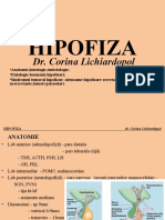 Hipofiza I