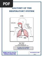 Anatomy of The Respiratory System: Dersi Sayfa Sayfa Türkçe Dinleyin!