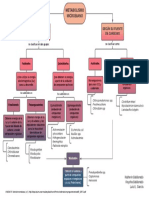 Mapa Metabolismo de M.O.