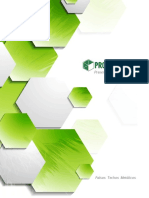 Presentación Profilsystem.pdf