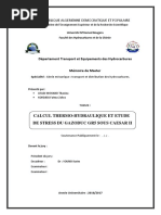 memoire hanane.pdf