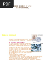 Download semen normal y sus alteraciones by Daniela MG SN48878665 doc pdf