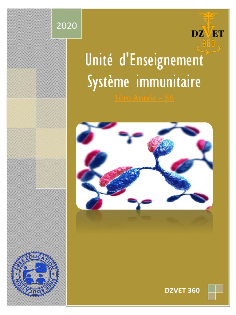 Sur Un Schéma Fourni Situer Anatomiquement Les Différents Organes Lymphoïdes S6 - Système immunitaire-DZVET360-Cours-veterinaires | PDF | Thymus  (anatomie) | Système immunitaire