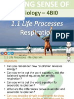 Aerobic and Anaerobic Respiration PDF