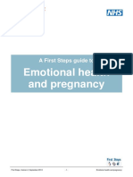 Emotional Health and Pregnancy: A First Steps Guide To