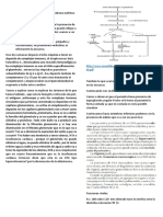 Examen Físico Nefritico PDF