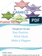 06 Camel Analysis