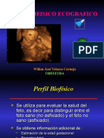 3 FISIOPATOLOGÍA y PERFIL BIOFISICO FETAL