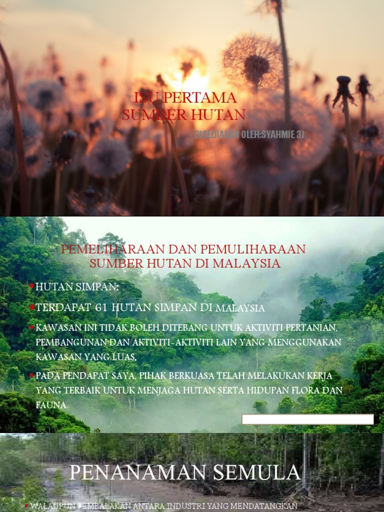 Isu Pertama Sumber Hutan Disediakan Oleh Syahmie 3j Pdf