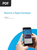 Rapid Developer - Module 2 PDF