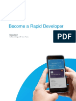 Rapid Developer - Module 2.pdf