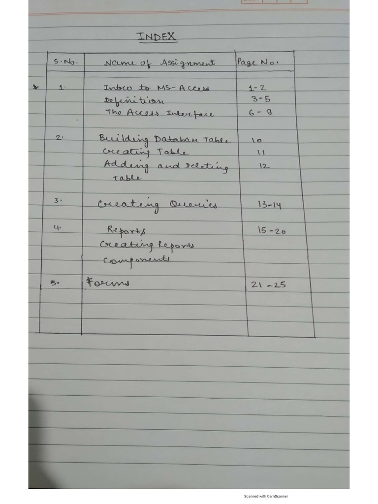 BBA 4th Semester Computer File | PDF