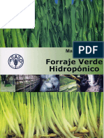 FAO - Forraje Verde Hidroponico