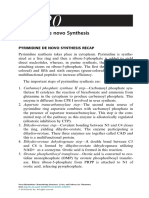 Pyrimidine de Novo Synthesis Recap