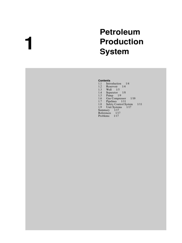 1 Petroleum Production System 2007 Petroleum Production