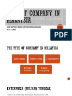 Type of Company in Malaysia