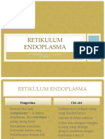 Retikulum Endoplasma