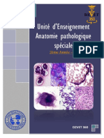 S8 - Anatomie Pathologique Spéciale-DZVET360-Cours-veterinaires