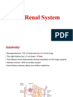 Last Renal System