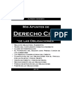 Obligaciones de Arguello-1-1 PDF