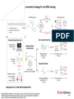 Fig. 1 DNA Nanoswitch Strategy For Viral RNA Sensing.: Lifeng Zhou Et Al. Sci Adv 2020 Sciadv - Abc6246