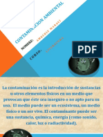 Contaminacion Ambiental