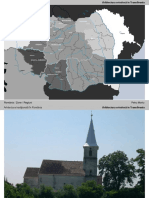 C3 - Ortodox in Transilvania PDF