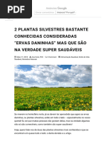 2 Plantas silvestres bastante conhecidas consideradas “ervas daninhas” mas que são na verdade super saudáveis - Living in Natural Harmony