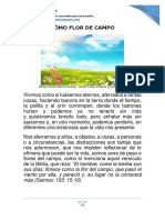 Cómo flor del campo.docx.pdf