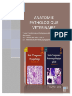 Anatomie Pathologique Vétérinaire - Combinaison-DZVET360-Cours-veterinaires