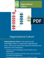 50 - Organization Culture-Updated
