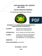 Universidad Nacional Del Centro Del Perú PDF
