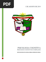 Unidad 3 Procesos Cognitivos Complejos