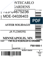 Aster Solidago: Minneapolis, MN