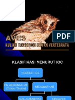 Aves Kuliah Ordo PDF