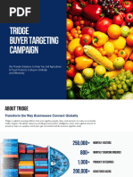 Premium - Buyer Targeting Campaign PDF