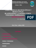 Porosidad, Parenquima y Redios PDF