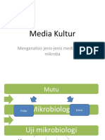 Media Kultur