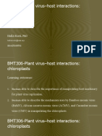 Lecture 13 Plant Virus Host Interactions Chloroplasts