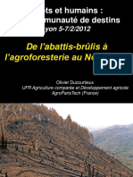 Brulis_Abattis-brulis_Agroforesterie_Nord-Laos